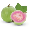 Pink Guava 